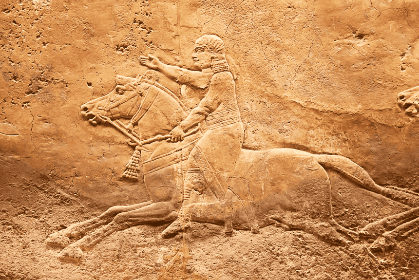 Histicle History listed 