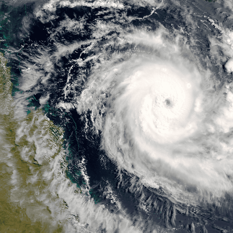 Histicle History listed 