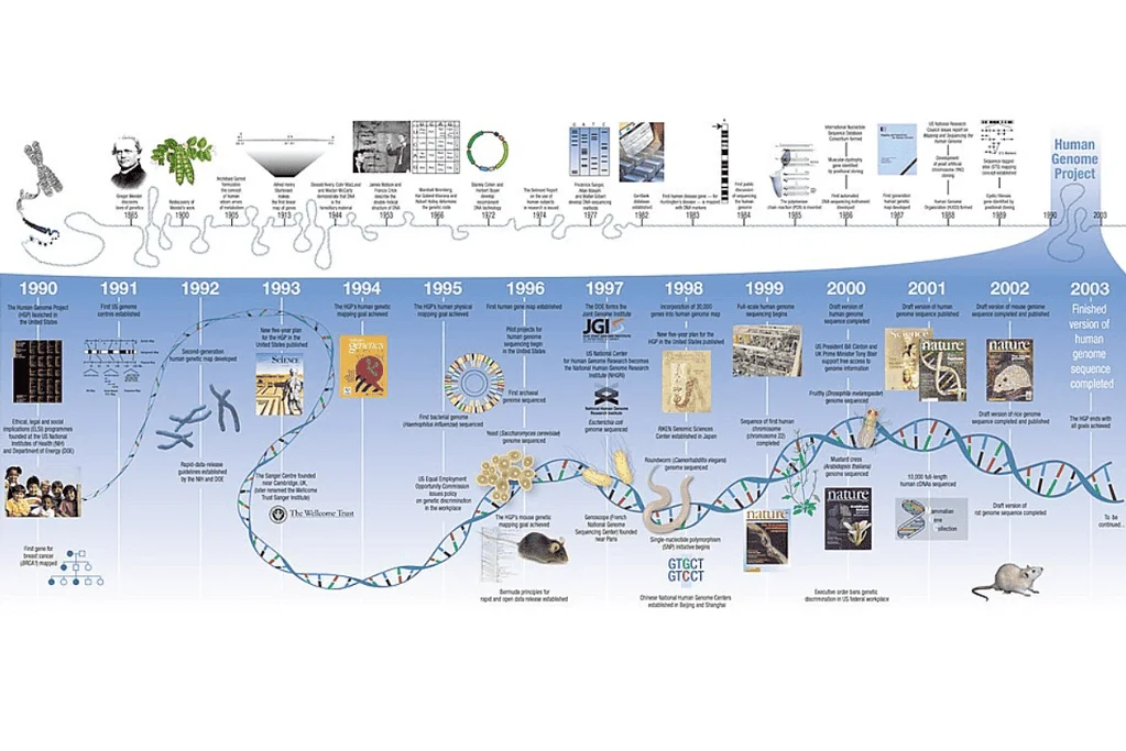 Image of the timeline for the Human Genome Project, key among historical medical breakthroughs