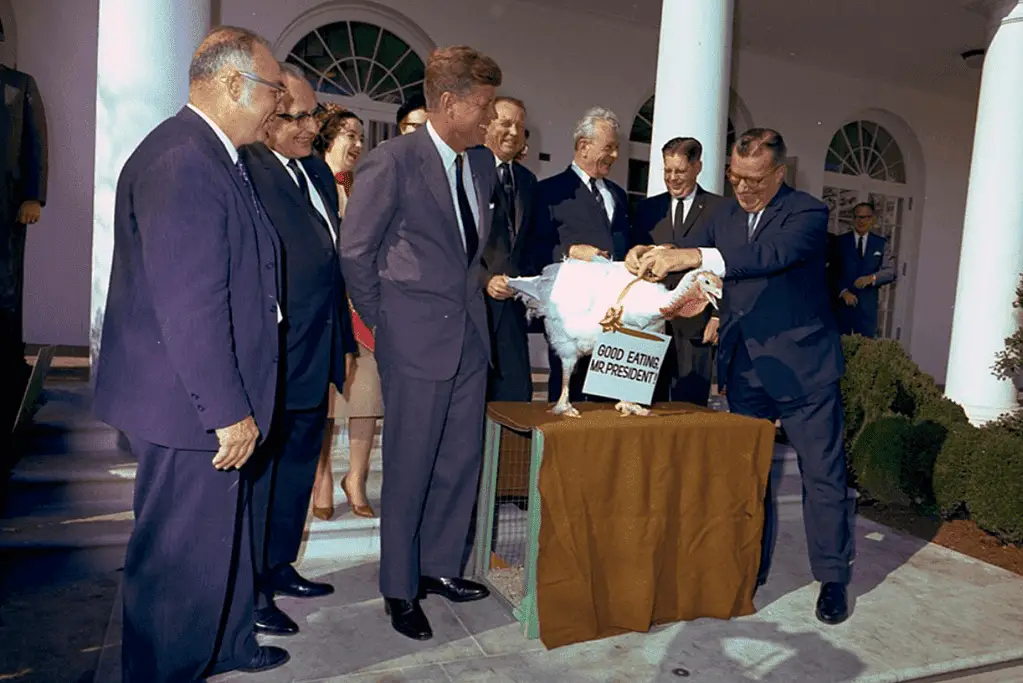 Image of President John F. Kennedy participating in the White House turkey pardoning tradition before Thanksgiving.