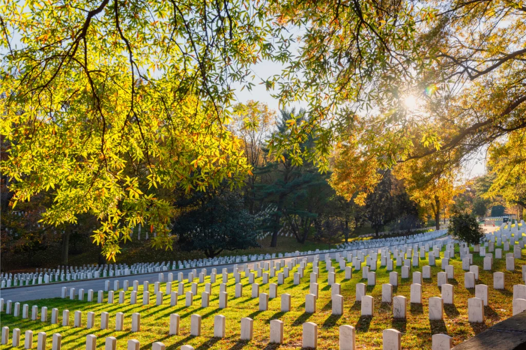 Image of Arlington: Where heroes stand eternal guard over America's capital.