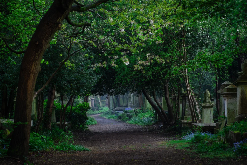 Image of Highgate: Where Gothic grandeur meets Marx's eternal revolution.