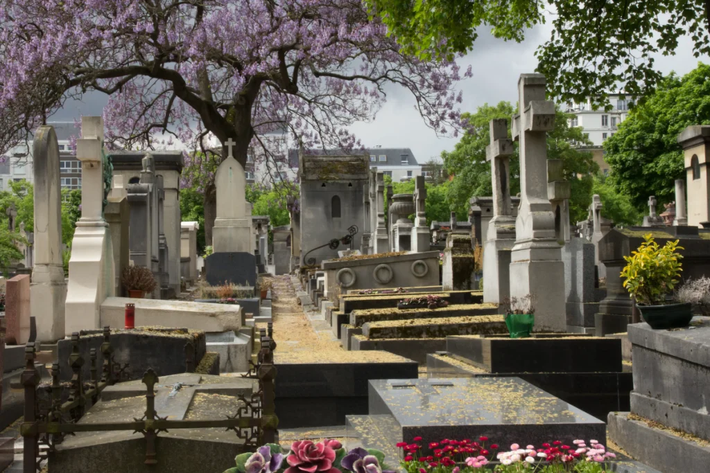 Image of Montparnasse: Where Paris's intellectuals keep debating long after last call.