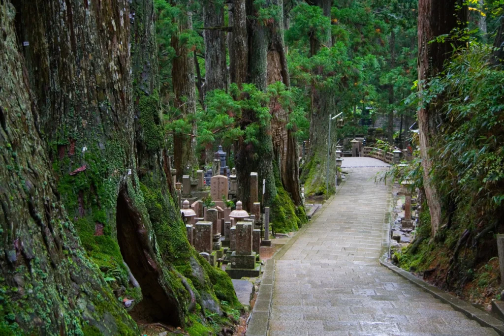 Image of a path through the Japanese cemetery Okunoin.