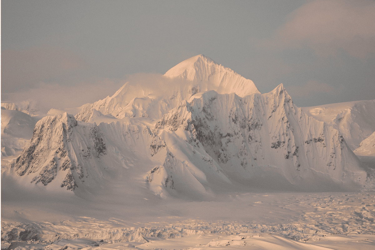 Uncover 10 Amazing Facts About Ernest Shackleton